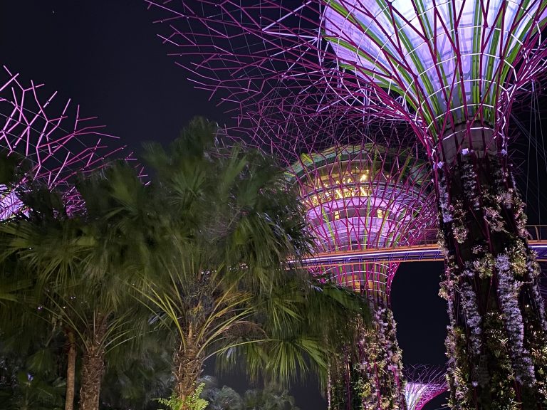 The Marina Bay Garden light show